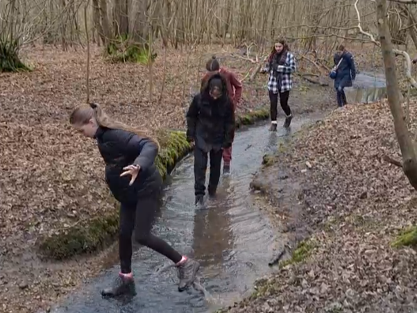 Five girls paddling through a small stream winding through woodland.